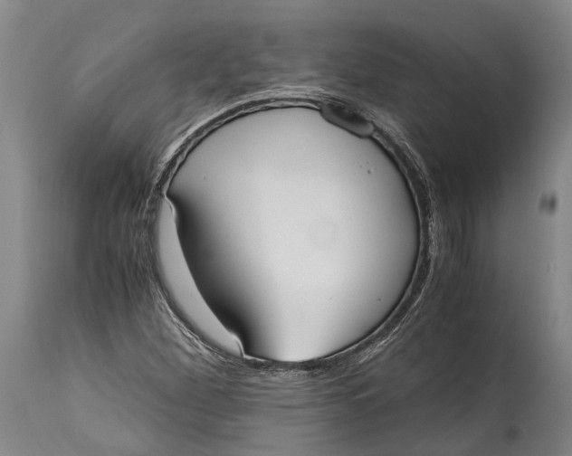 X0000114601260200911161346