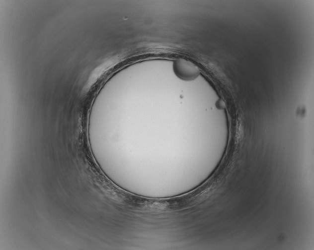 X0000114601261200911161346