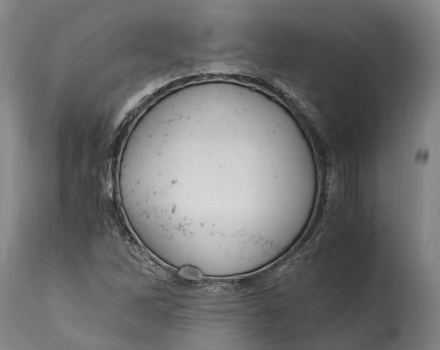 X0000114601262200911161346