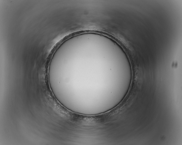 X0000114601264200911161346