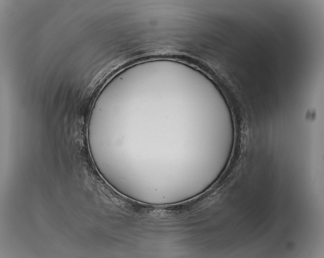 X0000114601265200911161345