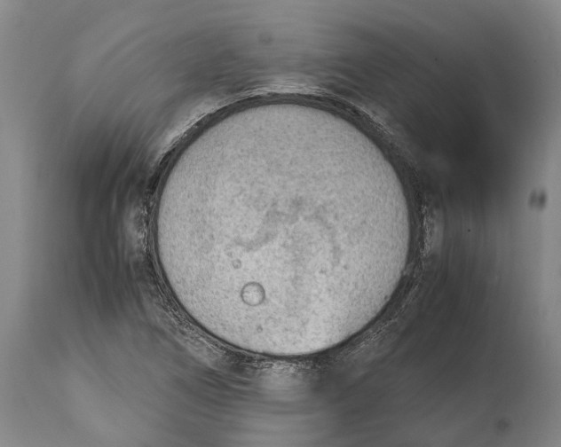 X0000114601266200911161345