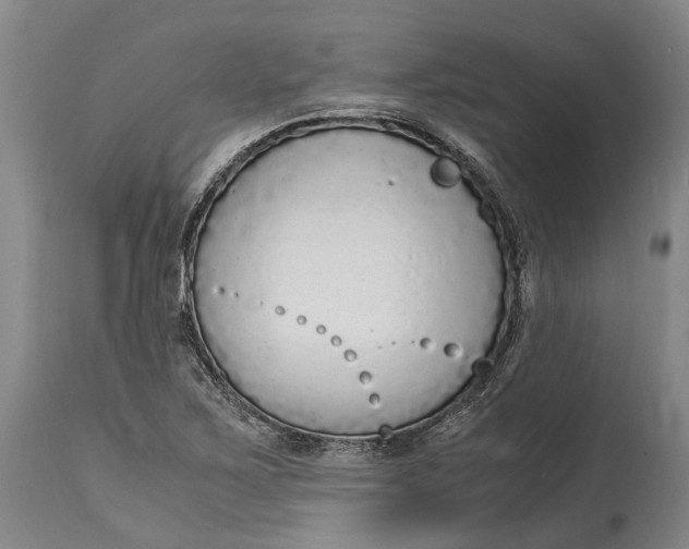 X0000114601267200911161345