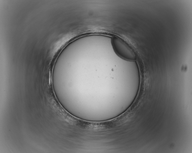 X0000114601269200911161345