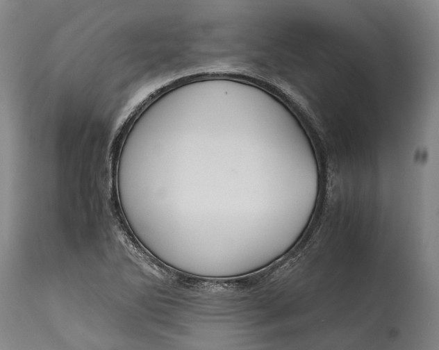 X0000114601270200911161345