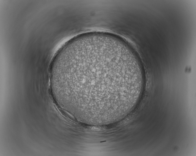 X0000114601271200911161345