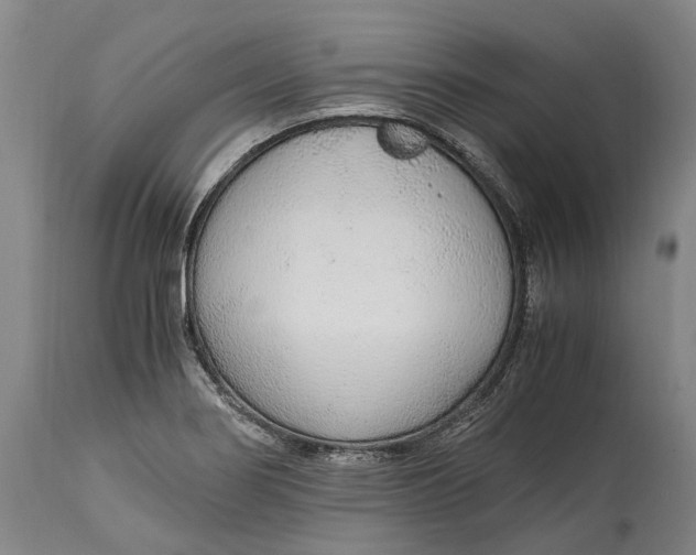 X0000114601274200911161345