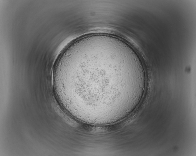 X0000114601275200911161345