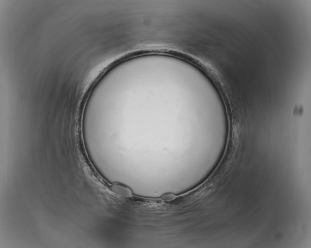 X0000114601279200911161345