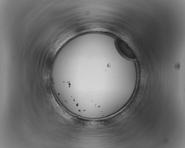 X0000114601281200911161345