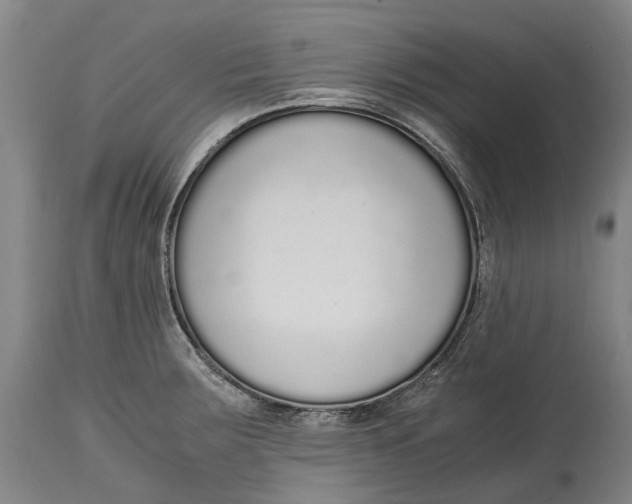 X0000114601283200911161345