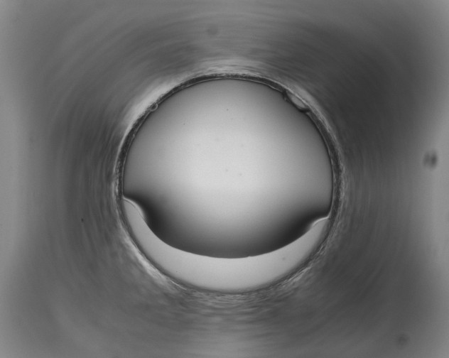 X0000114601285200911161345