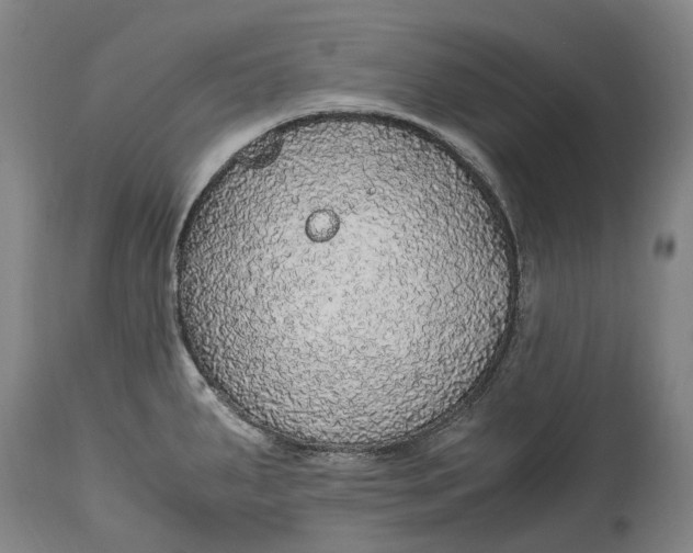 X0000114601287200911161345