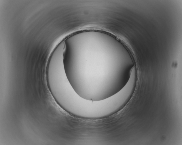 X0000114601288200911161345