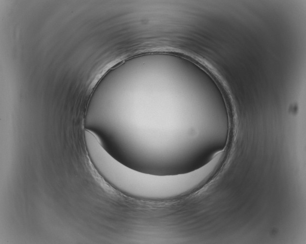 X0000114601289200911161345