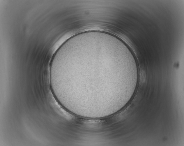 X0000114601290200911161345