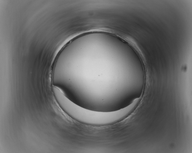 X0000114601292200911161345