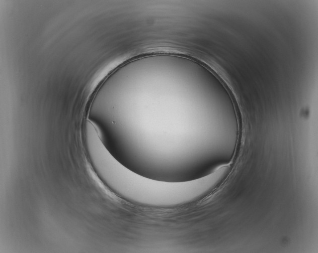 X0000114601293200911161345