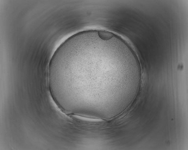 X0000114601295200911161345