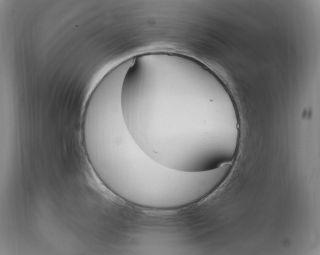 X0000114601296200911161345