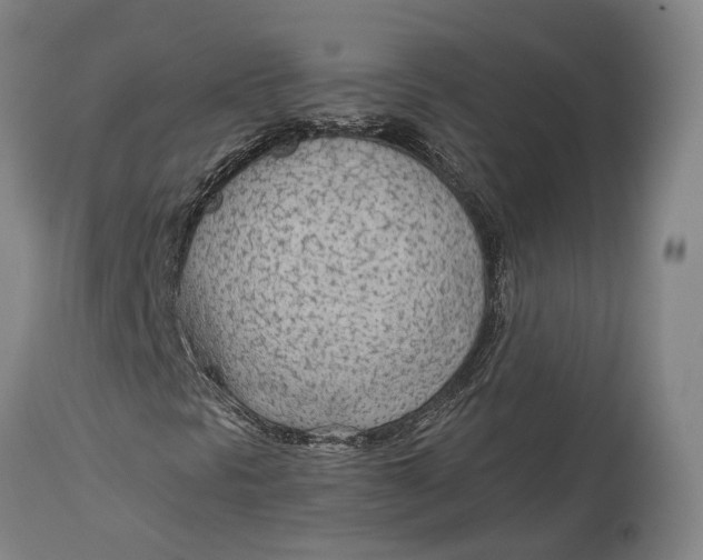 X0000114601297200911161344