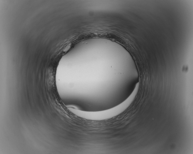 X0000114601298200911161344