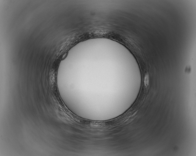 X0000114601299200911161344