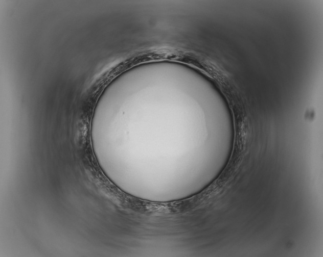 X0000114601302200911161344