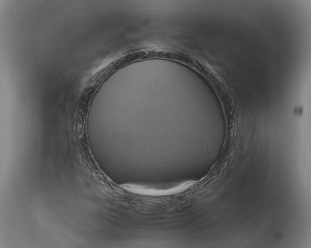 X0000114601303200911161344