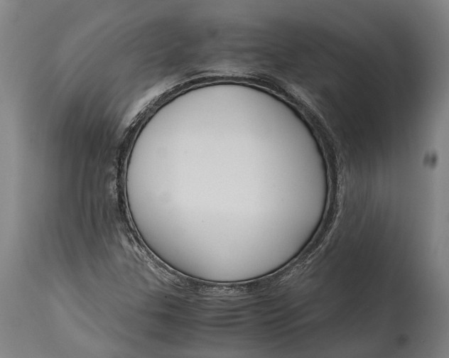 X0000114601307200911161345