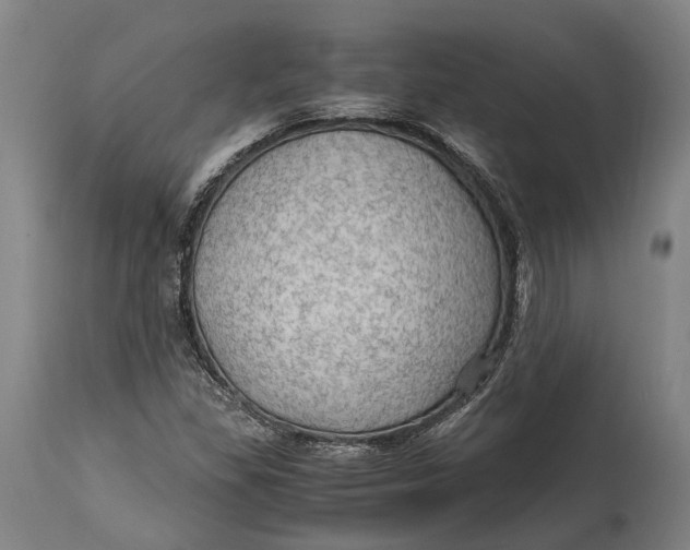 X0000114601309200911161345