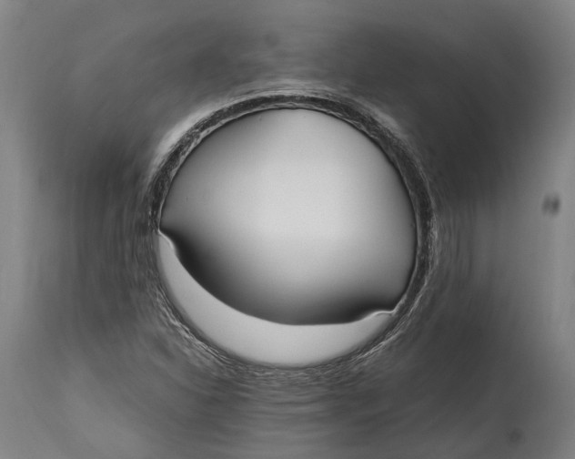 X0000114601310200911161345