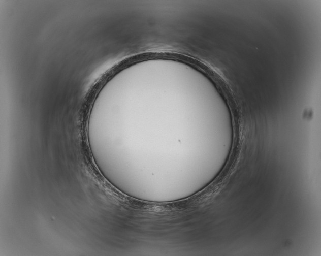 X0000114601311200911161345