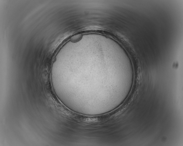 X0000114601313200911161345