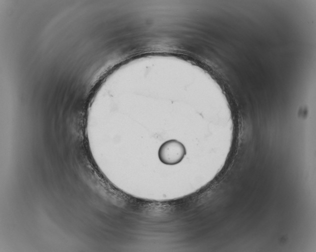 X0000114601314200911161345