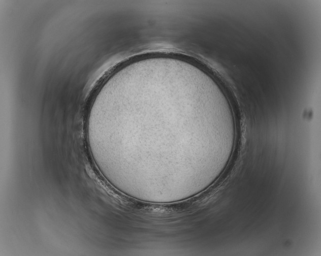 X0000114601318200911161345