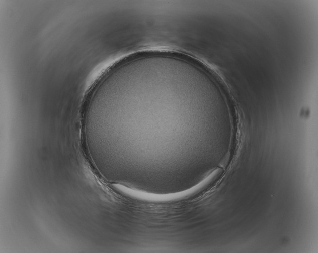 X0000114601319200911161345