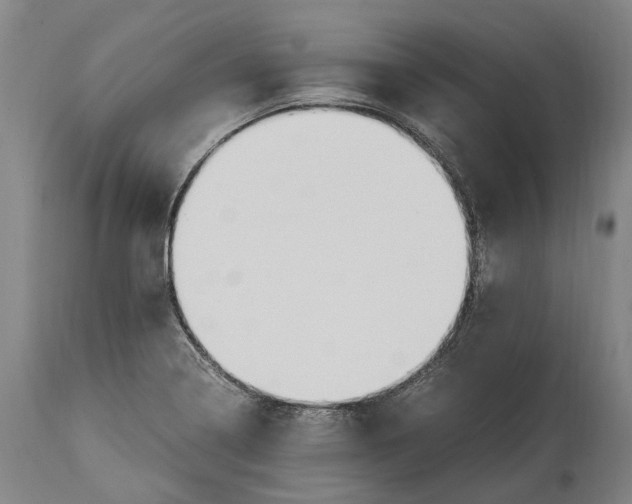 X0000114601322200911161345