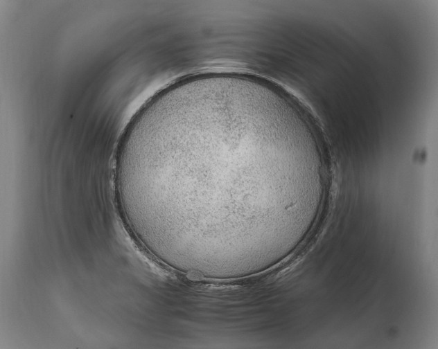 X0000114601325200911161345