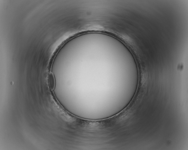 X0000114601326200911161345