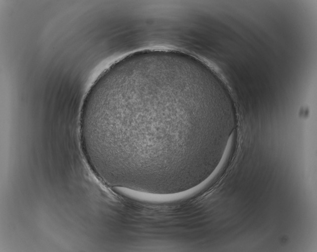 X0000114601327200911161345