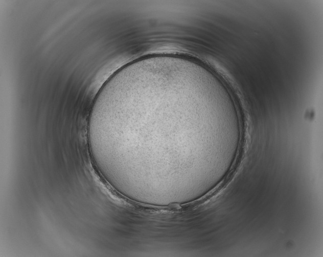 X0000114601329200911161345