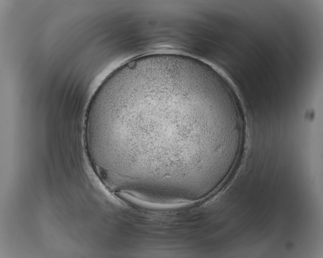 X0000114601333200911161345