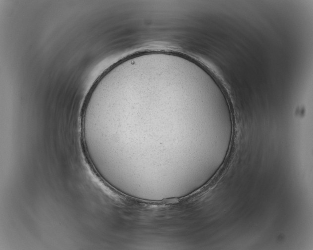 X0000114601335200911161345