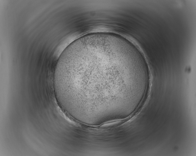 X0000114601337200911161345