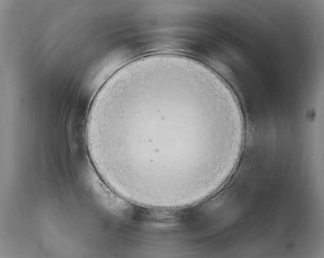 X0000114601338200911161345