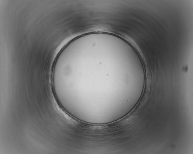 X0000114601339200911161345