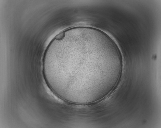 X0000114601341200911161345