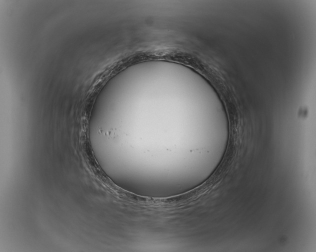 X0000114601349200911161344