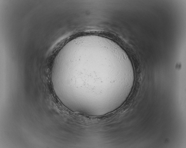 X0000114601351200911161344